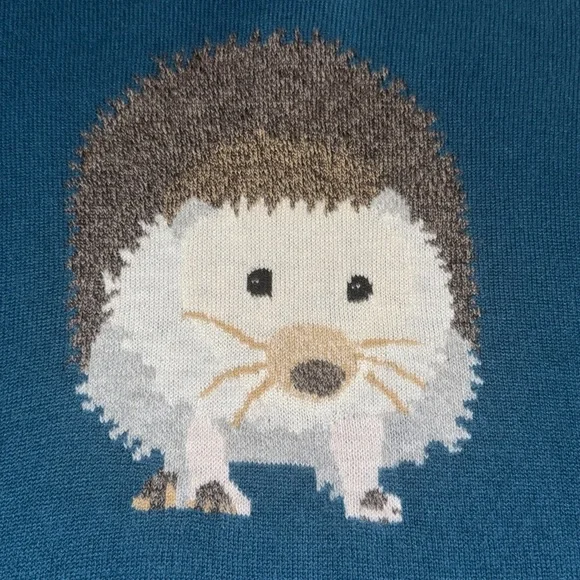 Talbots Teal Lambswool Blend Hedgehog Pullover Sweater - Picture 5 of 8